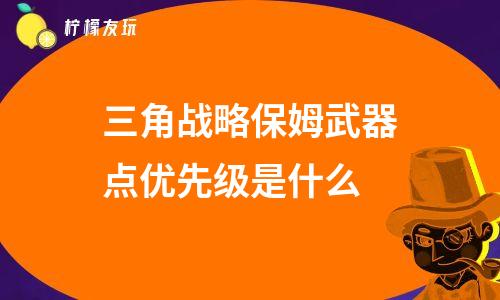 三角戰(zhàn)略保姆武器點(diǎn)優(yōu)先級(jí)是什么