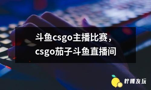 斗魚(yú)csgo主播比賽，csgo茄子斗魚(yú)直播間