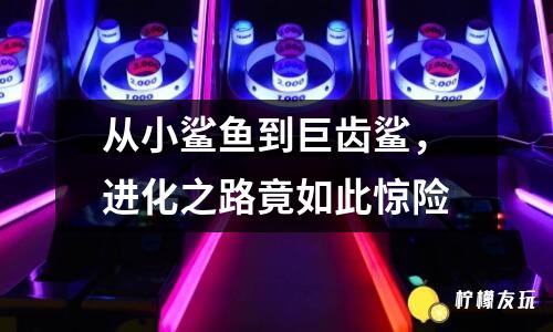 從小鯊魚到巨齒鯊，進(jìn)化之路竟如此驚險(xiǎn)