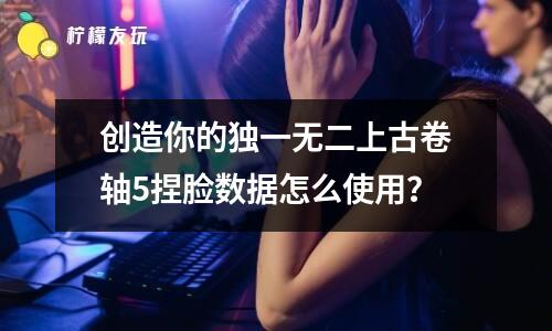 創(chuàng)造你的獨(dú)一無二上古卷軸5捏臉數(shù)據(jù)怎么使用？