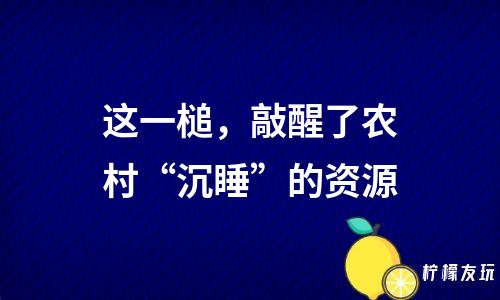 這一槌，敲醒了農(nóng)村“沉睡”的資源