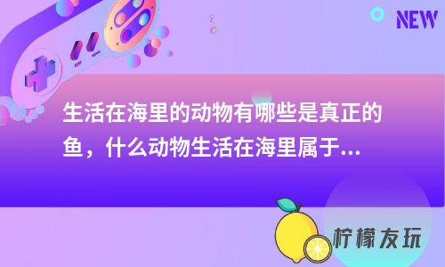 生活在海里的動物有哪些是真正的魚，什么動物生活在海里屬于真正的魚