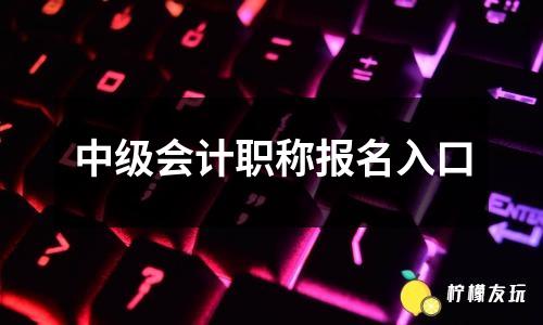 中級(jí)會(huì)計(jì)職稱報(bào)名入口