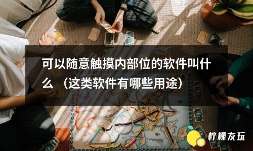 可以隨意觸摸內(nèi)部位的軟件叫什么 （這類軟件有哪些用途）