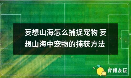 妄想山海怎么捕捉寵物 妄想山海中寵物的捕獲方法