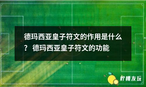 德瑪西亞皇子符文的作用是什么？ 德瑪西亞皇子符文的功能