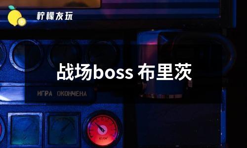 戰(zhàn)場boss 布里茨