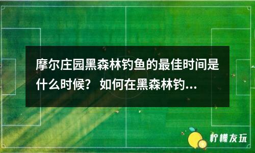 摩爾莊園黑森林釣魚的最佳時(shí)間是什么時(shí)候？ 如何在黑森林釣魚