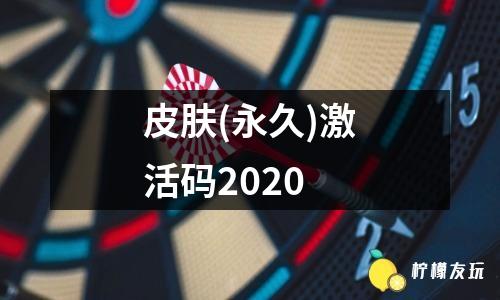 皮膚(永久)激活碼2020