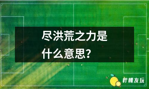 盡洪荒之力是什么意思？