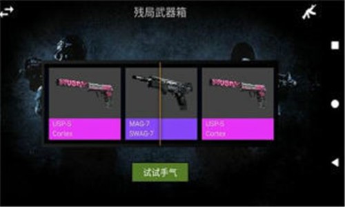 csgo開箱模擬器中文手機版